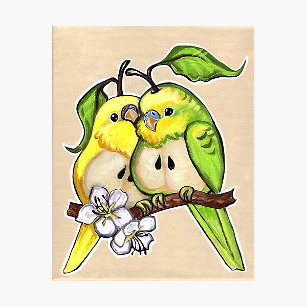 Laminas Fotograficas Perico Redbubble