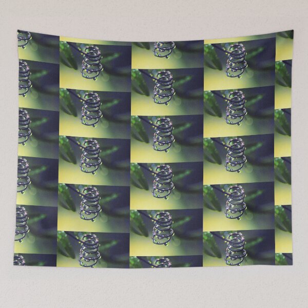 Item preview, Dew drops caught on a spring. designed and sold by Billlee.