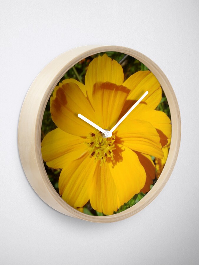 Alternate view of Unrestricted Flower Clock