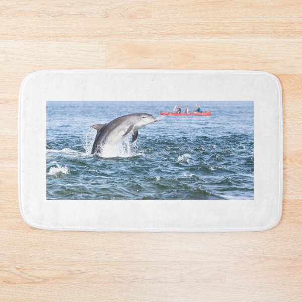 Item preview.