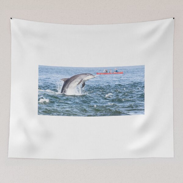 Item preview.