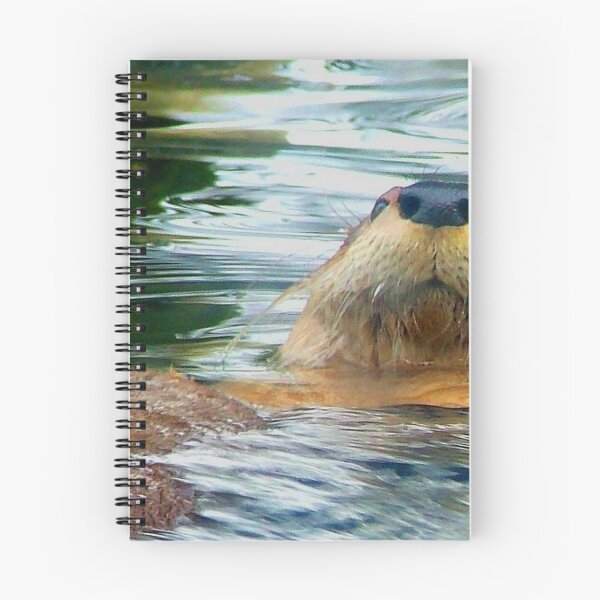 Item preview, The Otter designed and sold by Ken Simm.