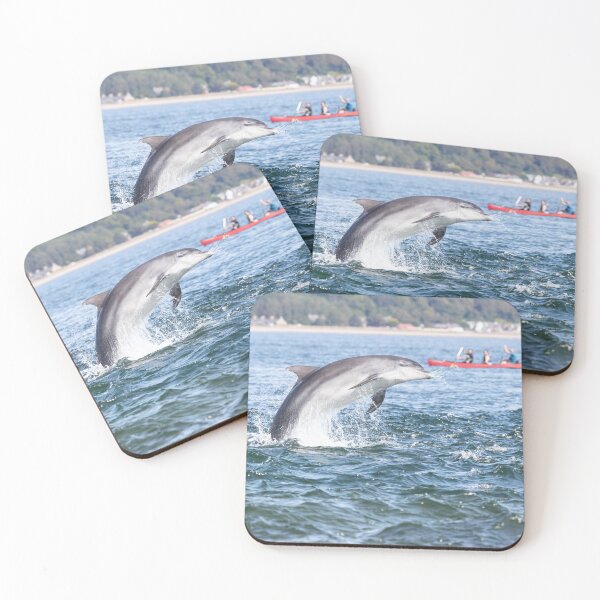 Item preview, Dolphin and the kayaking family designed and sold by chanonry.