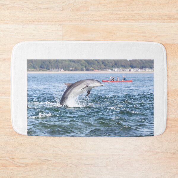 Item preview, Dolphin and the kayaking family designed and sold by chanonry.