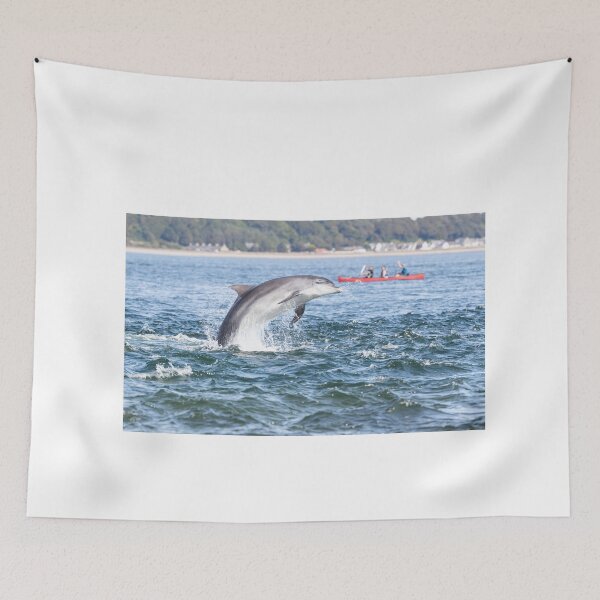 Item preview, Dolphin and the kayaking family designed and sold by chanonry.