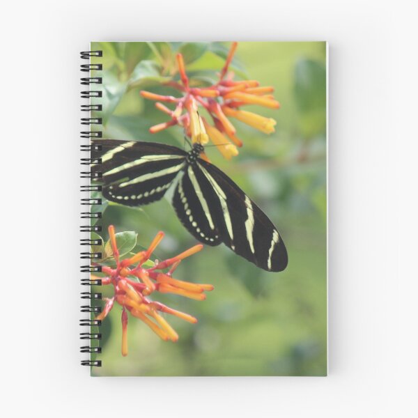 Item preview, Zebra Longwing designed and sold by Bob Hardy.