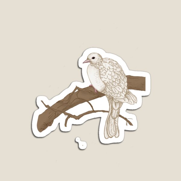 Dove Magnet