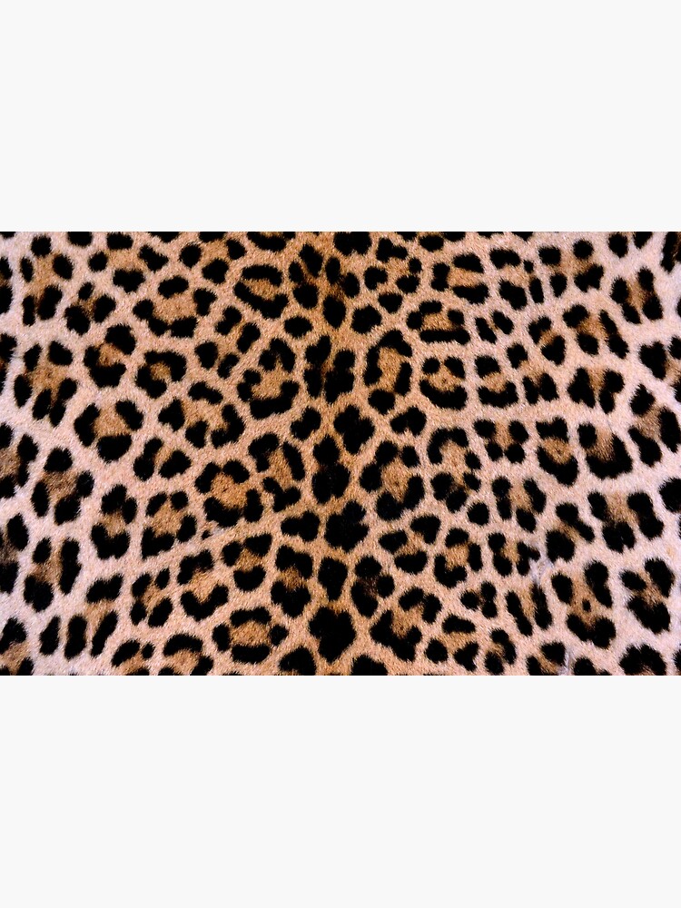 Cheetah Print 
