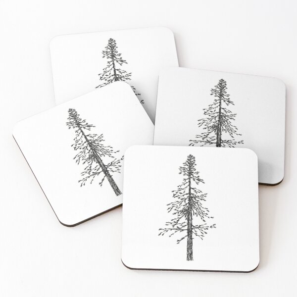 Doug Fir #4 Coasters (Set of 4)