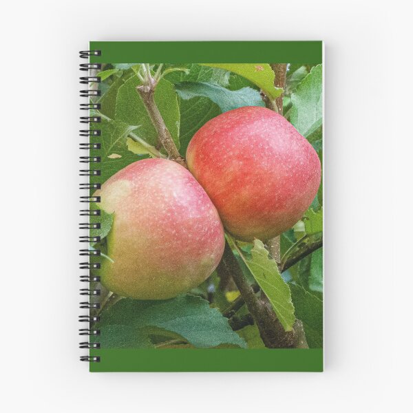 Item preview, Two Ripe Red Apples designed and sold by DPalmer.