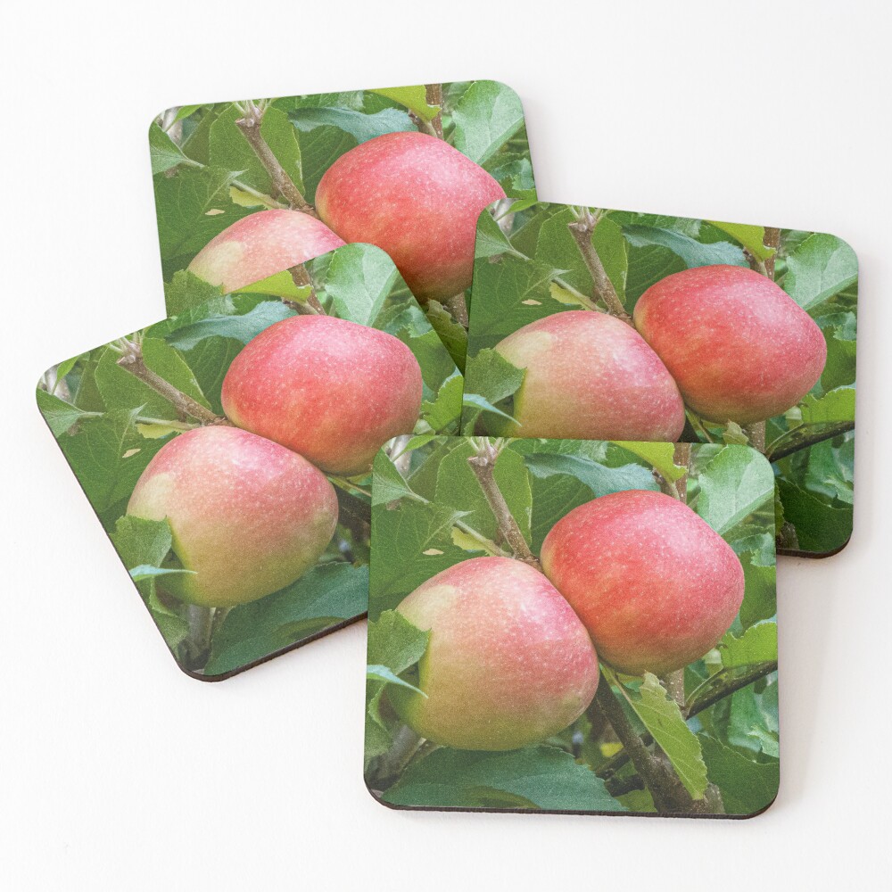 Item preview, Coasters (Set of 4) designed and sold by DPalmer.