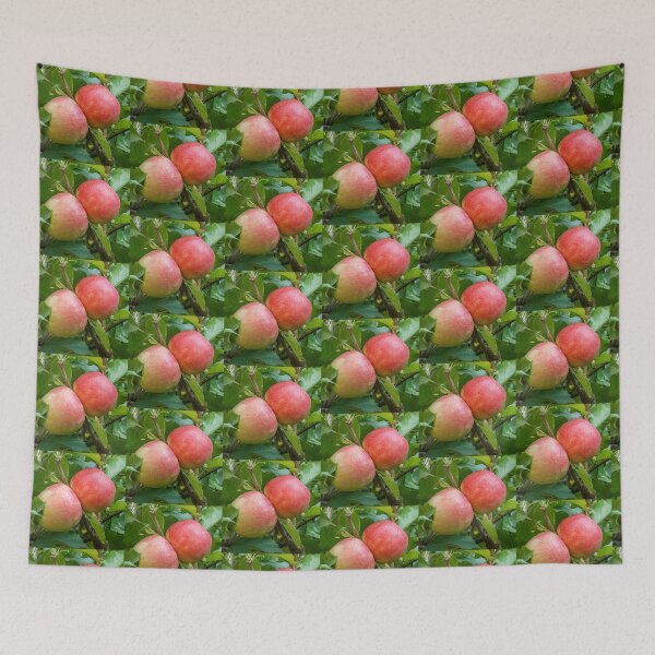 Item preview, Two Ripe Red Apples designed and sold by DPalmer.
