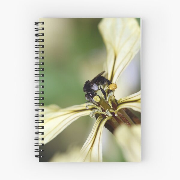Item preview, Tiny Sugarbag bee designed and sold by Siene Browne.