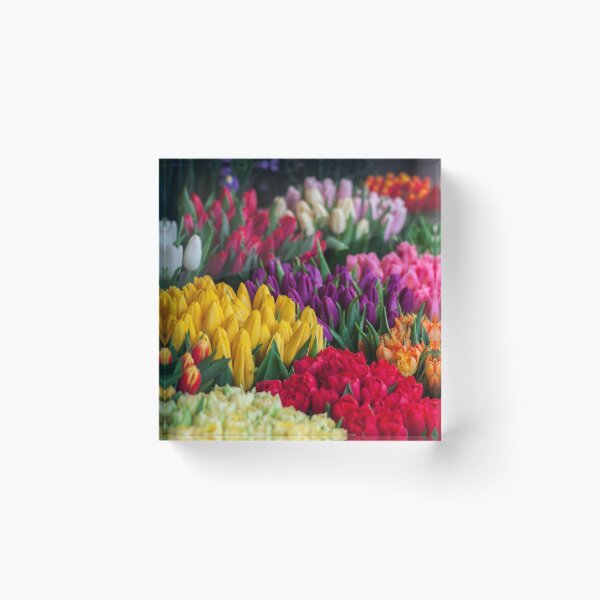 Item preview, Rainbow Tulips Blooming designed and sold by newburyboutique.