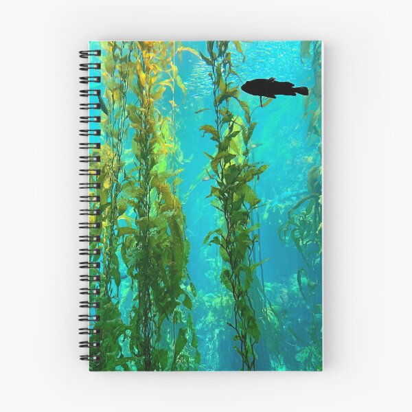 Item preview, Monterey Bay Study 1  designed and sold by Robert Meyers-Lussier.