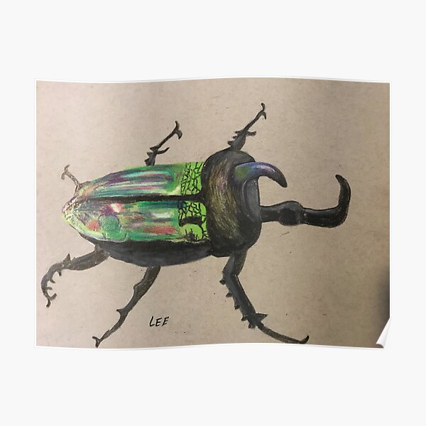 Rhinoceros Beetle Posters | Redbubble