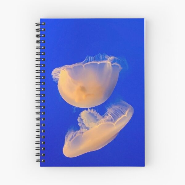 Item preview, Monterey Bay Study 2  designed and sold by Robert Meyers-Lussier.