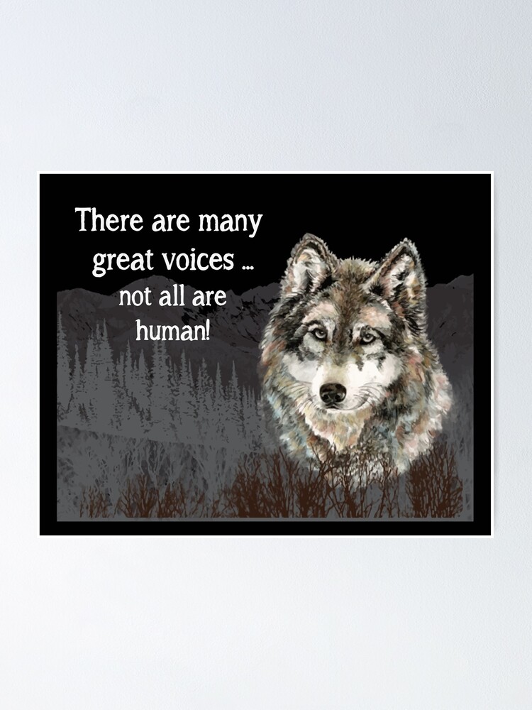 Poster Beaucoup De Grandes Voix Citation Inspiree De Wolf Par Countrymouse Redbubble