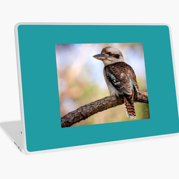 Kookaburra - Loving Nature Laptop Skin