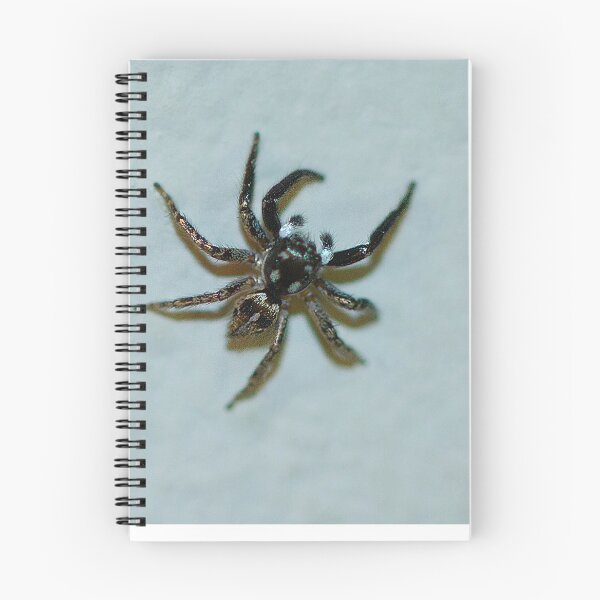 Item preview, Tiny Spider designed and sold by Brenda Burnett.