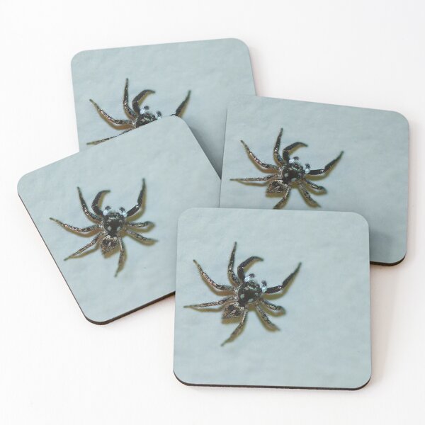Item preview, Tiny Spider designed and sold by Brenda Burnett.