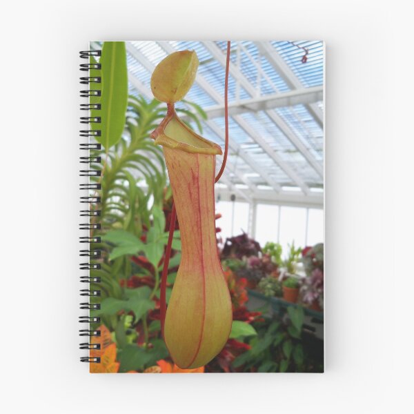 Item preview, Pitcher Plant designed and sold by hootonles.