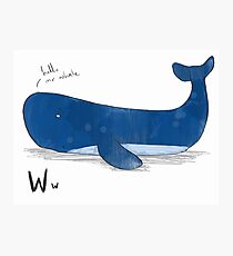"Hello Mr Whale" Photographic Print