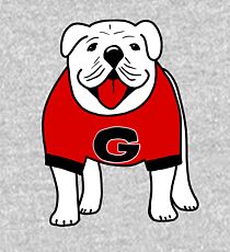 Uga Kids Pullover Hoodie