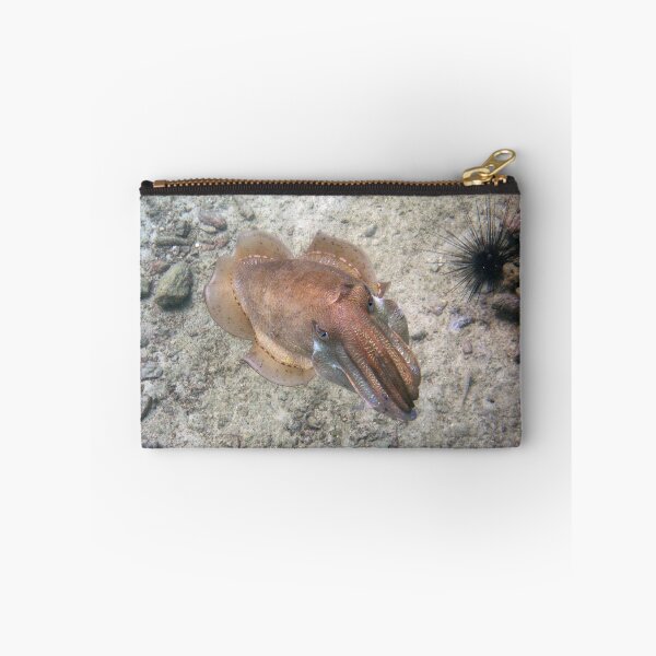 Item preview, Cuttlefish in the Shallows of Thailand designed and sold by Mike Ashley.