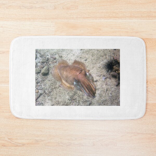 Item preview, Cuttlefish in the Shallows of Thailand designed and sold by Mike Ashley.