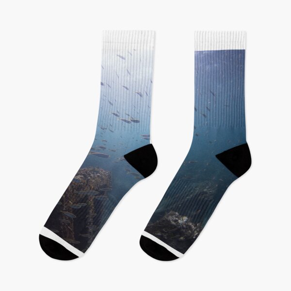 Item preview, School of Fish in Korea designed and sold by Mike Ashley.