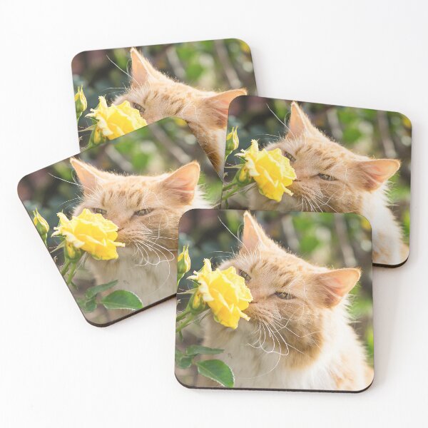 Item preview, Kitty Rose designed and sold by Penny Kittel.