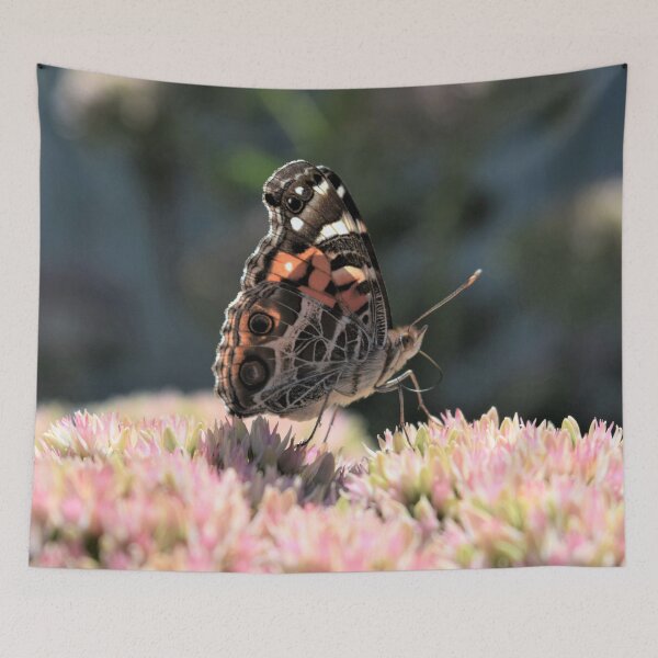 Item preview, Painted Lady  designed and sold by DonnaM.