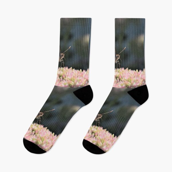 Item preview, Painted Lady  designed and sold by DonnaM.