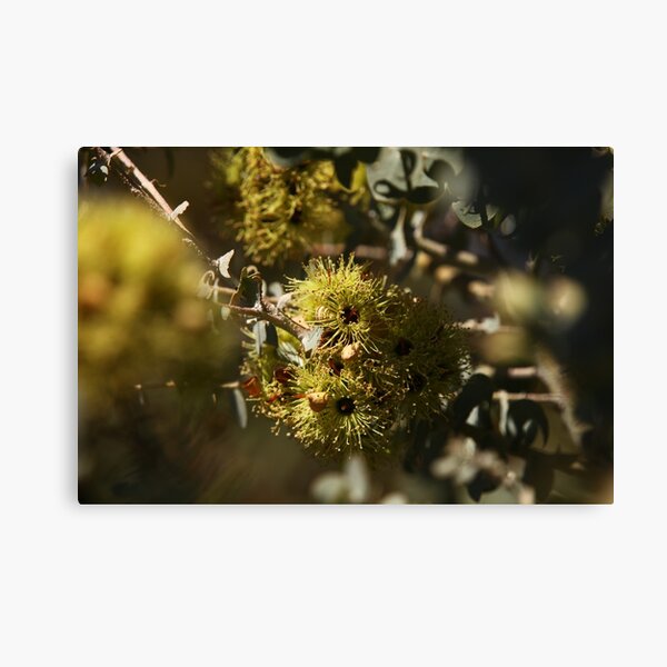Item preview, The Not So Faraway Garden Series 2 - 50 designed and sold by beeden.