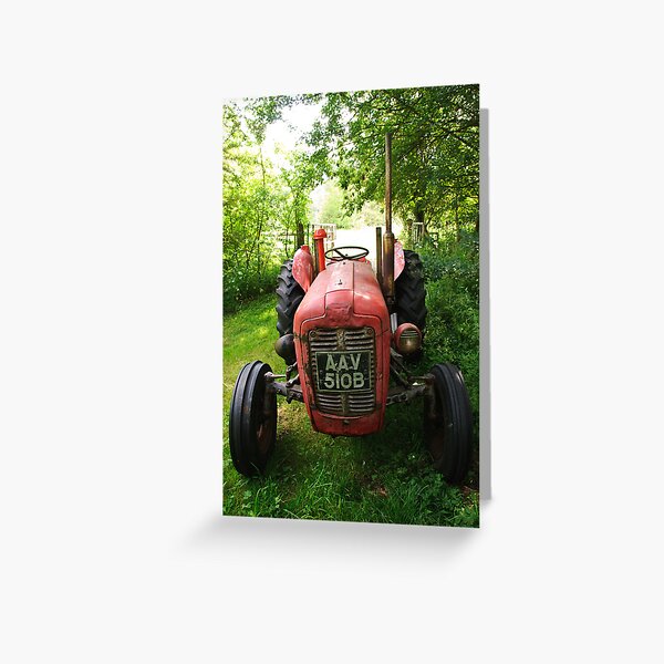 Old Fergie in the shade Greeting Card