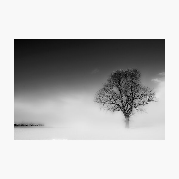 Dreaming of a distant shore Photographic Print