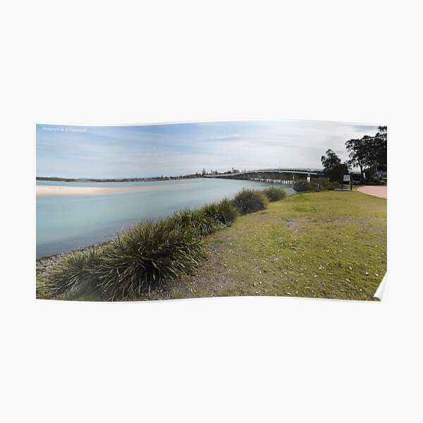 Beautiful Forster 665544 Poster
