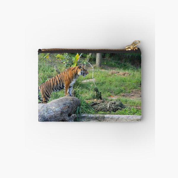 Item preview, Female Sumatran Tiger cub watches her brothers antics. designed and sold by Sheila Smith.