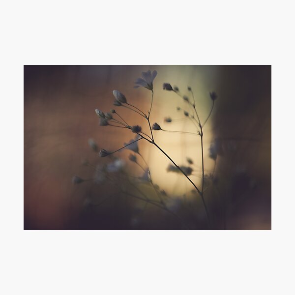 Item preview, flower sunset designed and sold by jrenner.