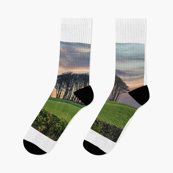 Item preview,  nearly home trees Cornwall at sunset designed and sold by kathleenjean.