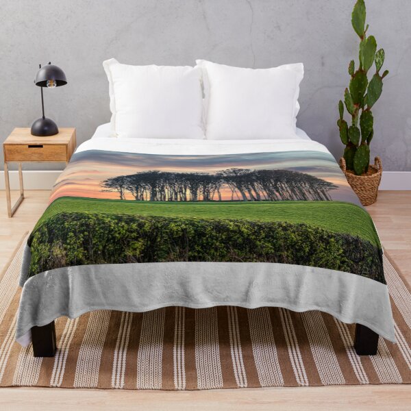 Item preview,  nearly home trees Cornwall at sunset designed and sold by kathleenjean.