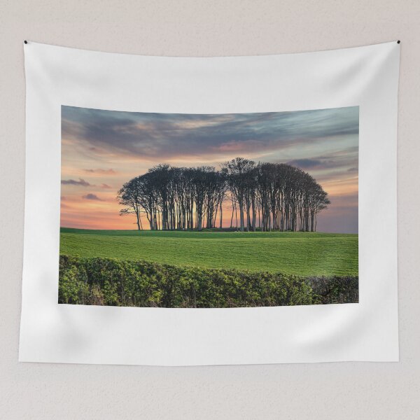 Item preview,  nearly home trees Cornwall at sunset designed and sold by kathleenjean.