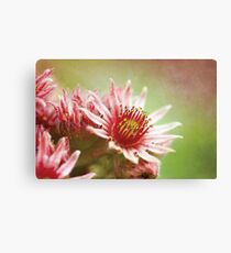 Crown Canvas Print