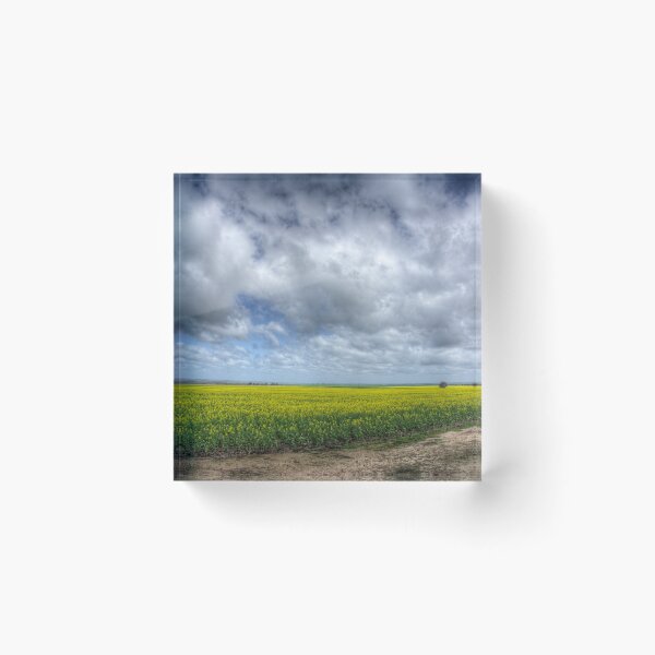 Item preview, Canola fields in WA wheat belt designed and sold by BigAndRed.