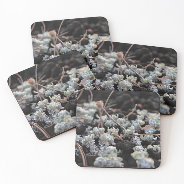 Item preview, With the Rocks designed and sold by Tes331.