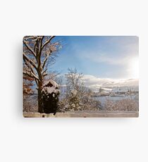 Winter Wonderland Metal Print