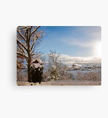 Winter Wonderland Canvas Print
