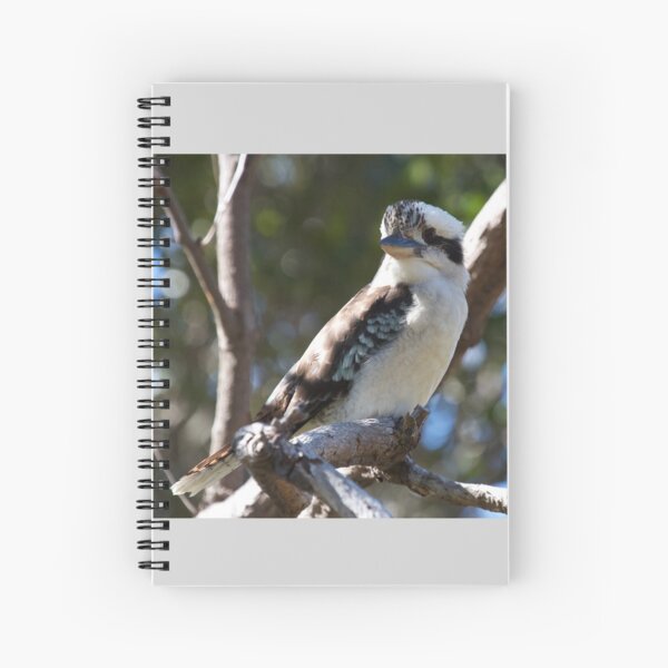 Item preview, Kookaburra sits  designed and sold by MargsNaturePix.