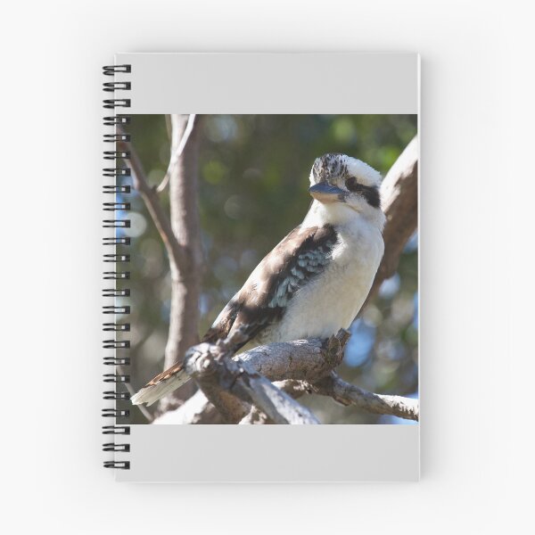 Item preview, Kookaburra sits  designed and sold by MargsNaturePix.